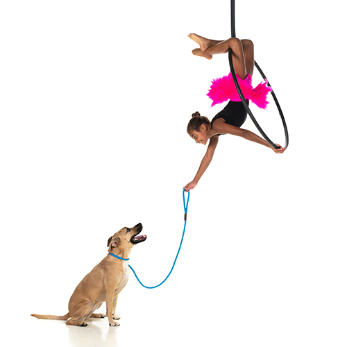 A girl in a pink and black outfit performs aerial hoop acrobatics, hanging upside down, while playfully holding the leash of a sitting tan dog. The background is plain white.