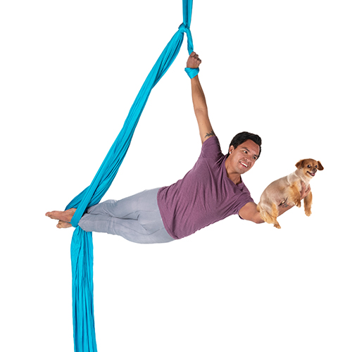 A man performs an aerial silk routine suspended in the air, holding a small dog in one hand. He wears a purple shirt and gray pants, smiling and looking joyful. The silk is bright blue against a plain white background
